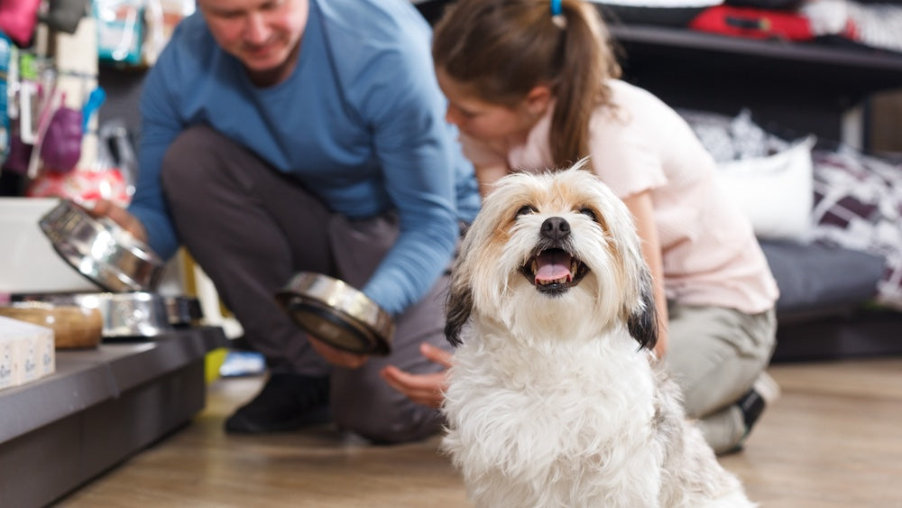 Why Shop From a Local Pet Store vs. a Big Box Store
