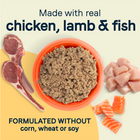 Canidae All Life Stages Made with Real Lamb without Corn, Wheat or Soy