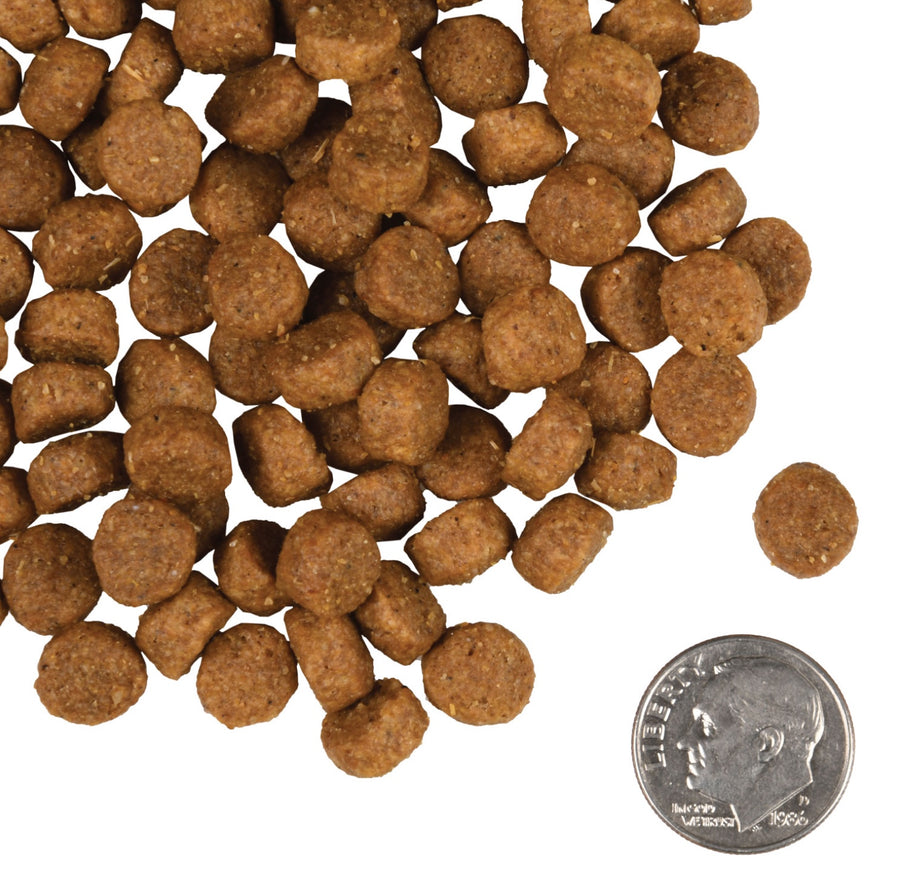 A size for every dog. Kibble approximately 2/3rds size of a dime.