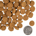 A size for every dog. Kibble approximately 2/3rds size of a dime.