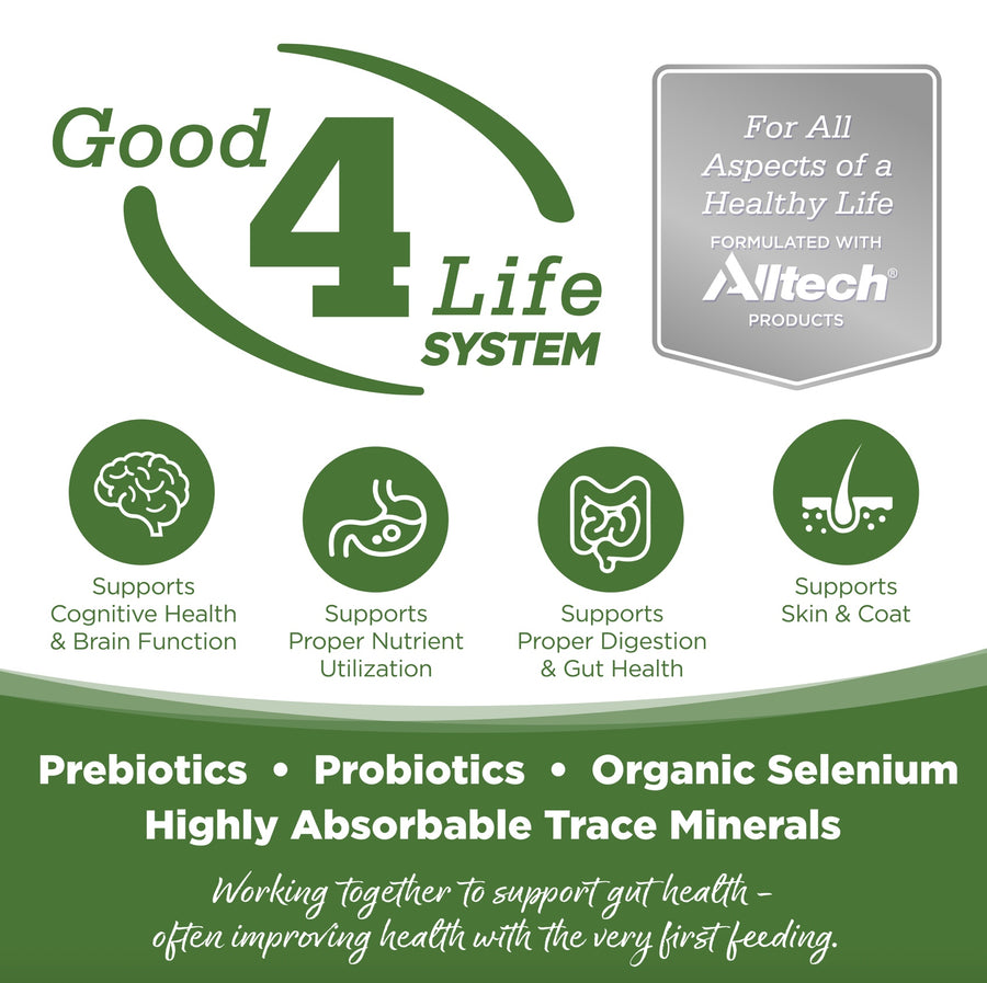 Working together to support gut health- often improving health with the very first feeding.