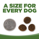 A size for every dog. Kibble approximately 2/3rds size of a dime.