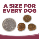 A size for every dog. Kibble approximately 2/3rds size of a dime.