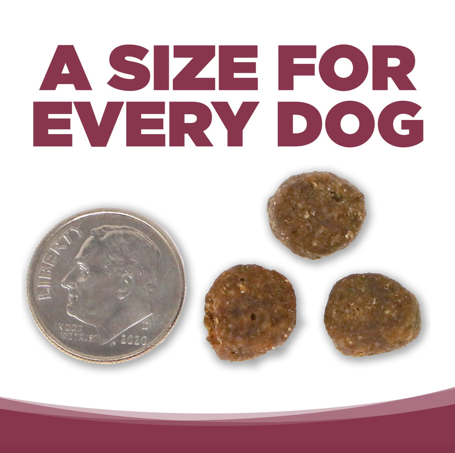 A size for every dog. Kibble approximately 2/3rds size of a dime.