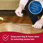 Keep your dog & Home clean by removing excess hair.