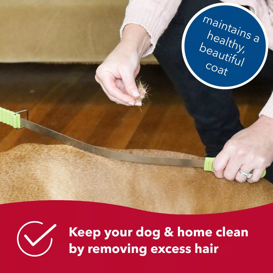 Keep your dog & Home clean by removing excess hair.