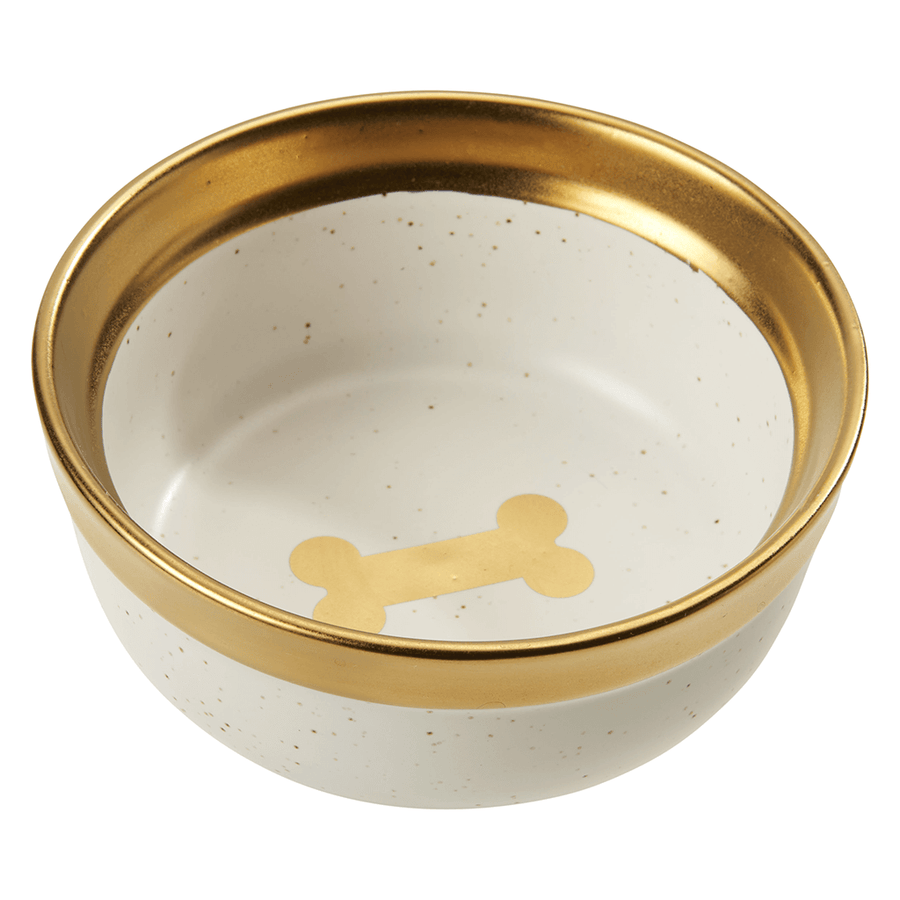 Full View of Spot Malibu Gold Dog Dish