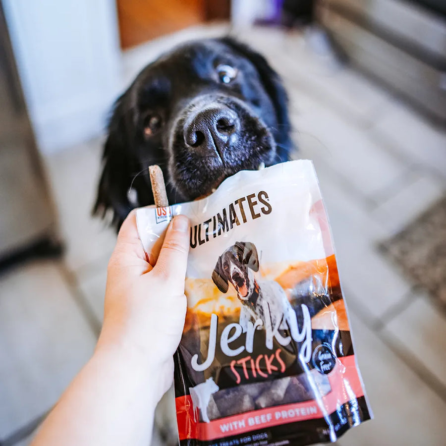 Black dog looking at Ultimates Jerky Sticks with Beef Dog Treats