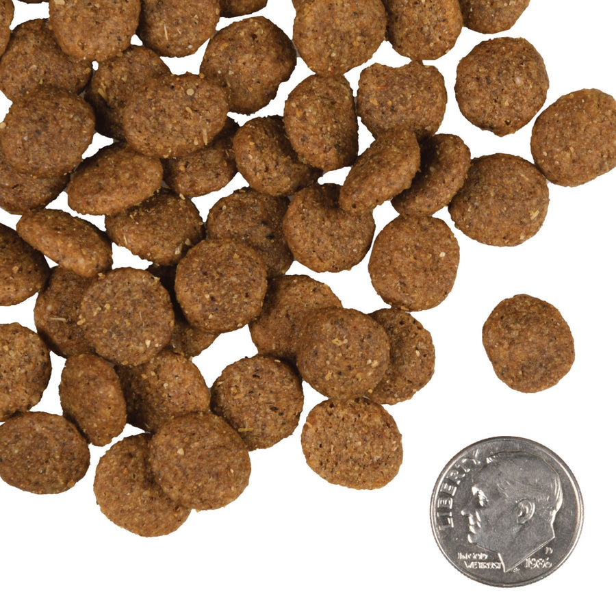 A size for every dog. Kibble approximately 2/3rds size of a dime.