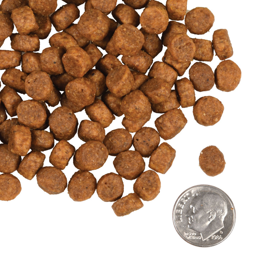 A size for every dog. Kibble approximately 2/3rds size of a dime.