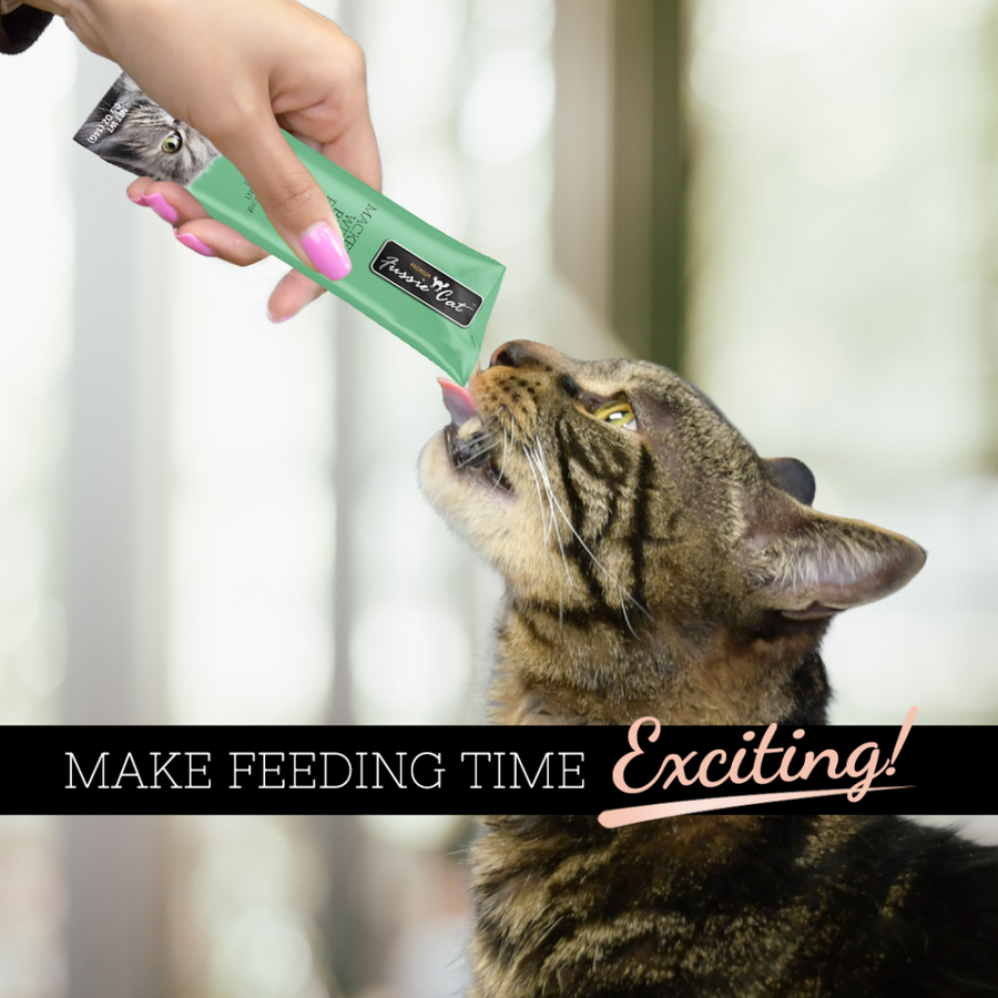 Fussie Cat Puree Mackerel with Beef Cat Treat