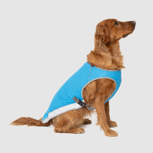 Canada Pooch Blue Chill Seeker Cooling Vest