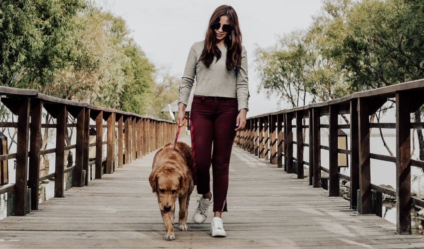 Walking Your Dog: 4 Simple Ways to Keep it Interesting