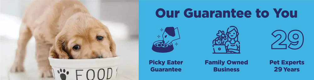 Choosing the best food for your dog or cat