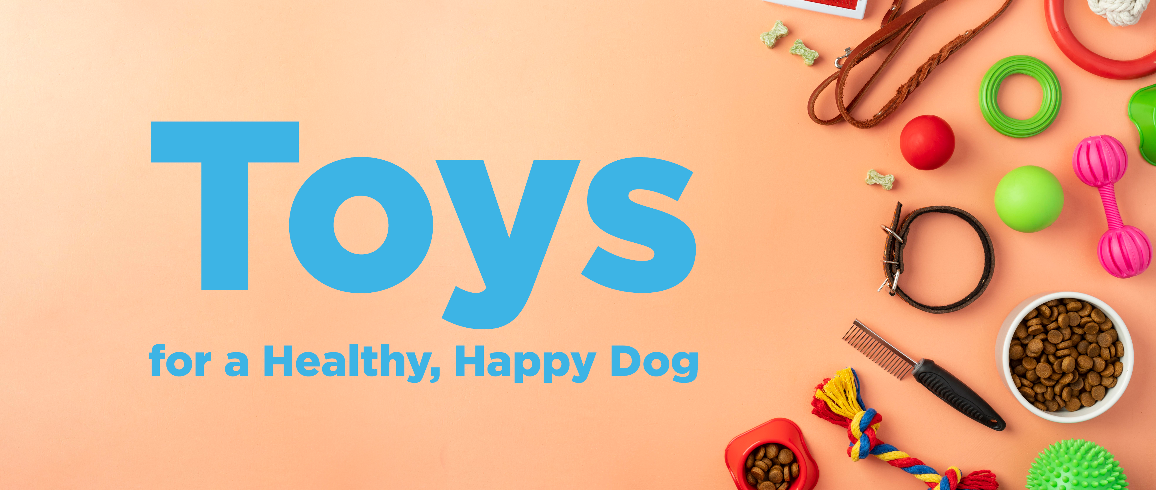 https://incredpets.com/cdn/shop/collections/Toys_Banner2.png?v=1689985712