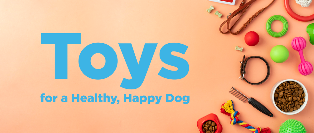Dog Toys