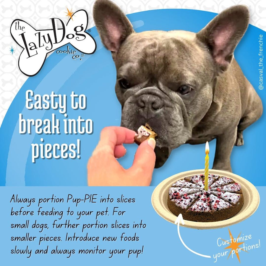 Lazy Dog Cookie Company Happy Birthday For A Charming Boy Pup-Pie Dog Treat