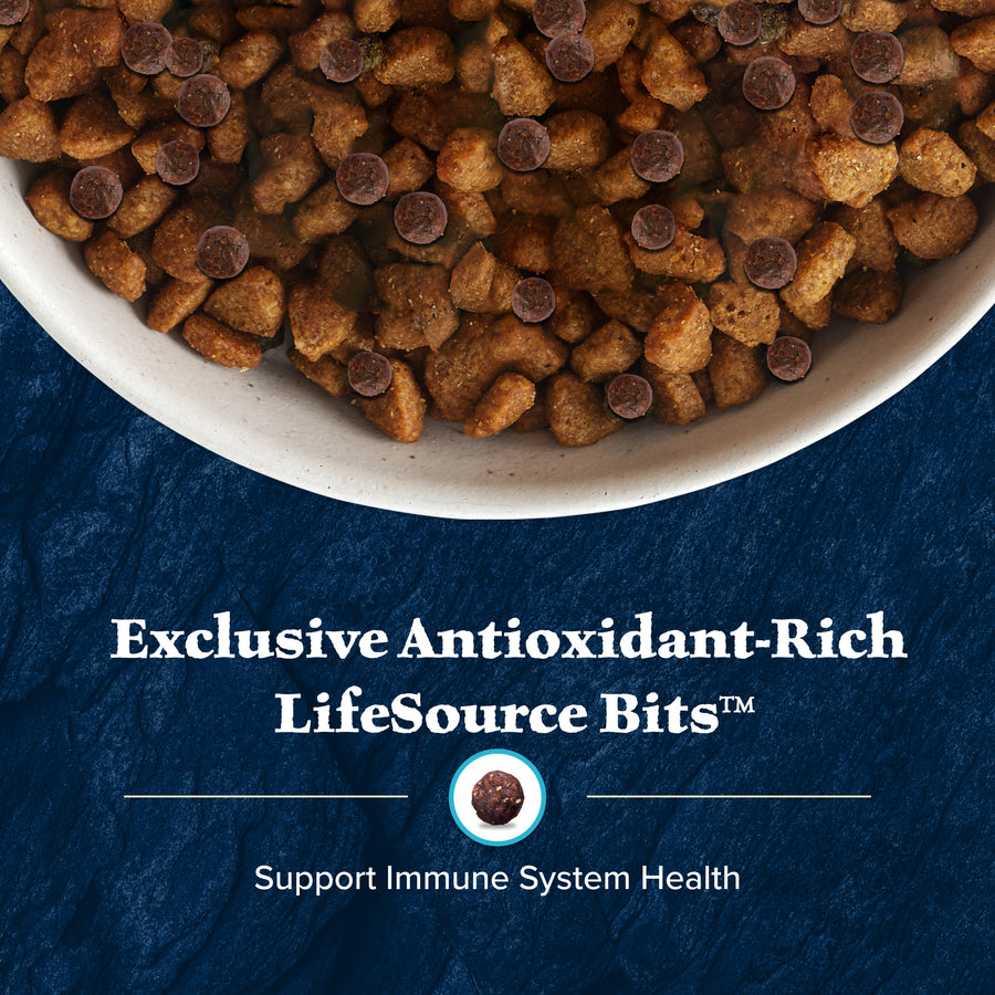 Blue Buffalo Wilderness High Protein Chicken Recipe Adult Large Breed Dry Dog Food
