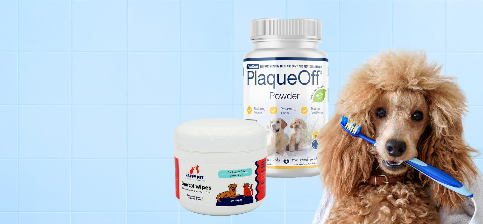 Keep Your Pet's Teeth Clean