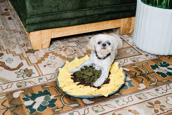 Injoya Sunflower Treat Dispensing Snuffle Mat