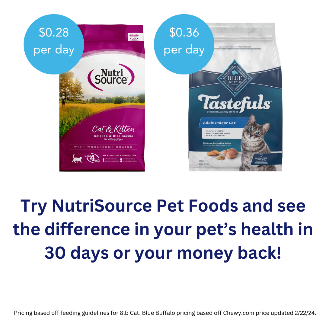 NutriSource Cat and Kitten Chicken and Rice Dry Cat Food - Incredible Pets
