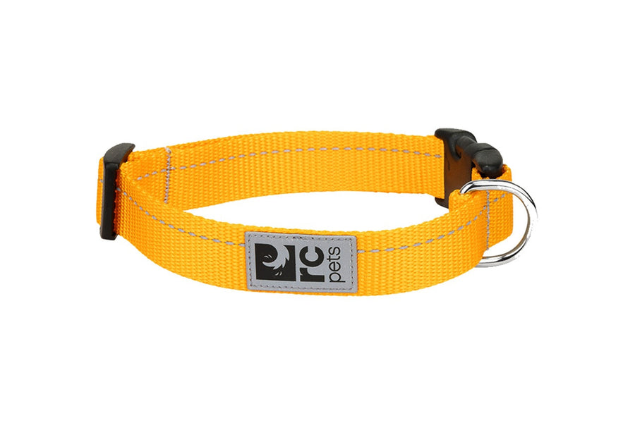 RC Pets Primary Dog Collar, Marigold