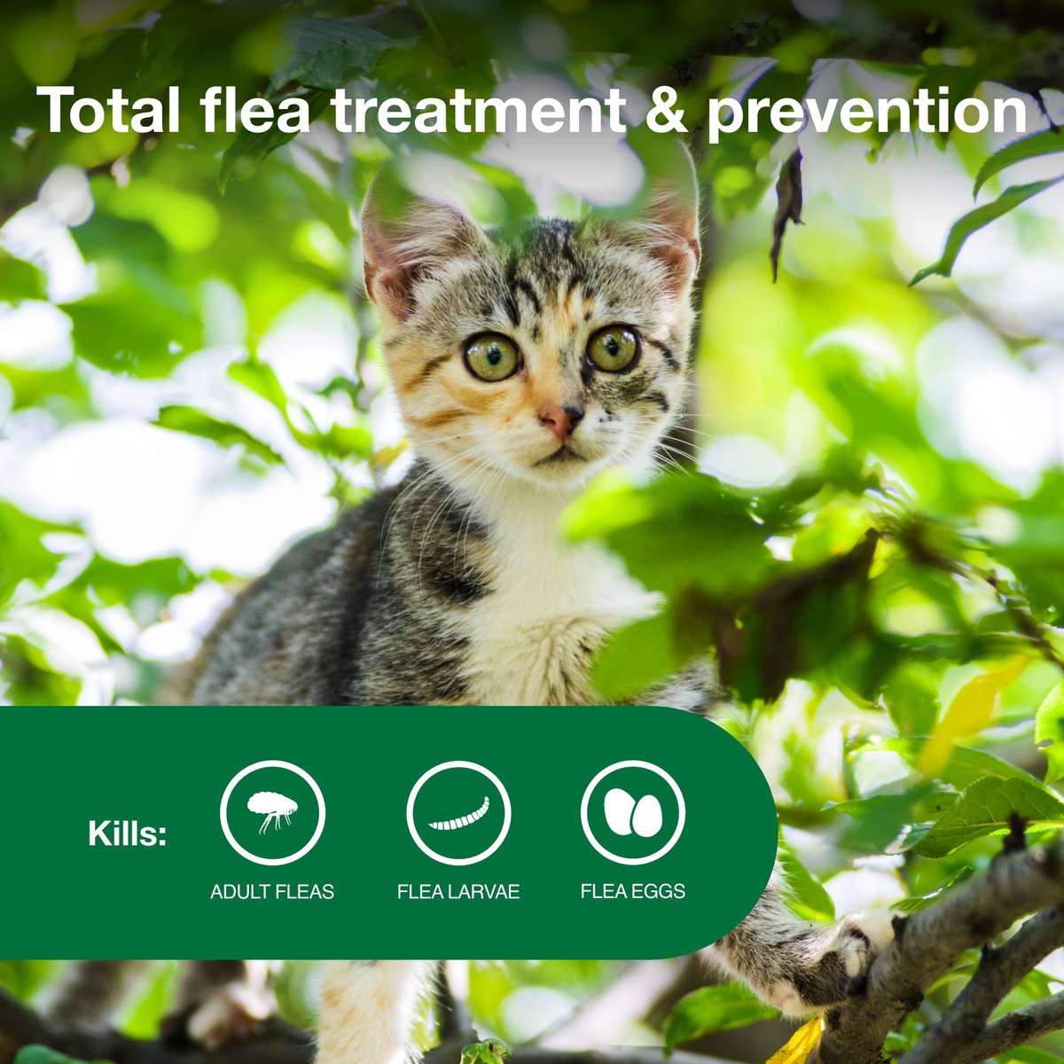 Advantage II Flea Spot Treatment for Kittens, 2-5lbs
