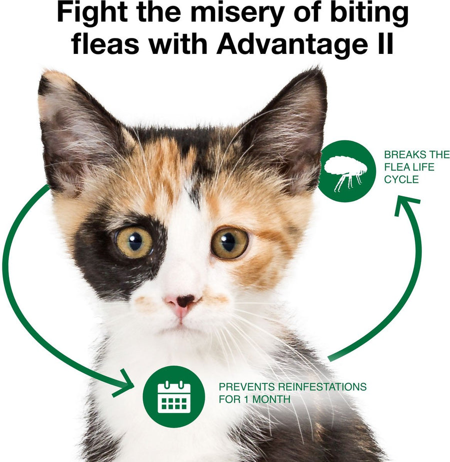 Advantage II Flea Spot Treatment for Kittens, 2-5lbs