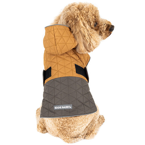 Eddie Bauer Richland Jacket, Brown/Gray