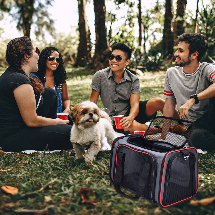 GooPaws Soft Sided Travel Carrier in Gray For Dogs and Cats