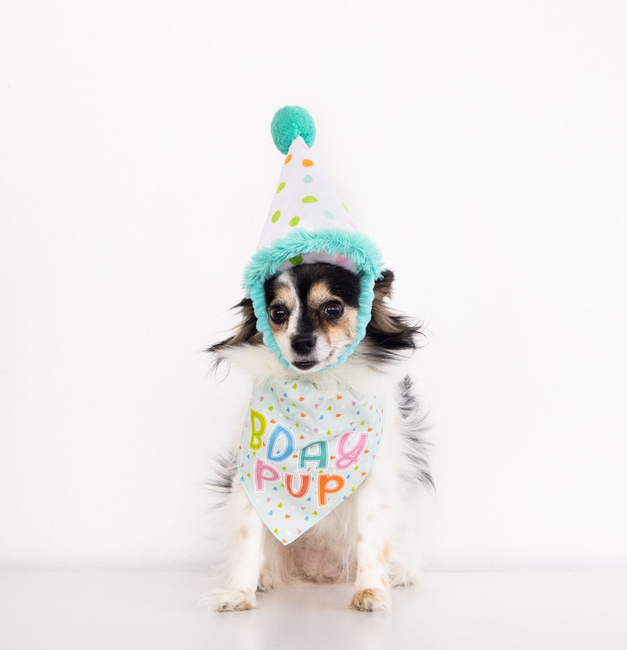 Pearhead Birthday Pup Bandana Hat Set S/M