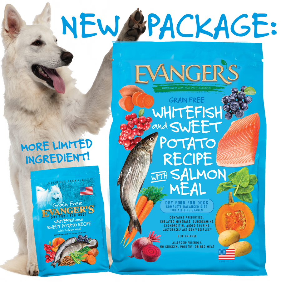 Evanger's Grain Free Super Premium Whitefish and Sweet Potato Dry Dog Food