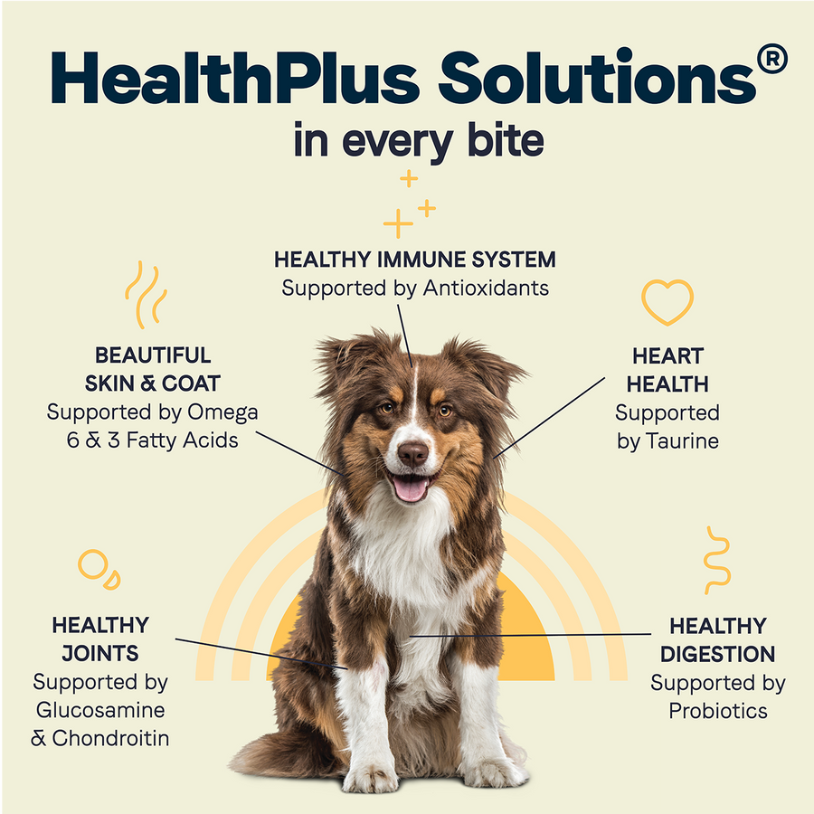 Canidae All Life Stages Lamb Meal and Brown Rice Formula Dry Dog Food