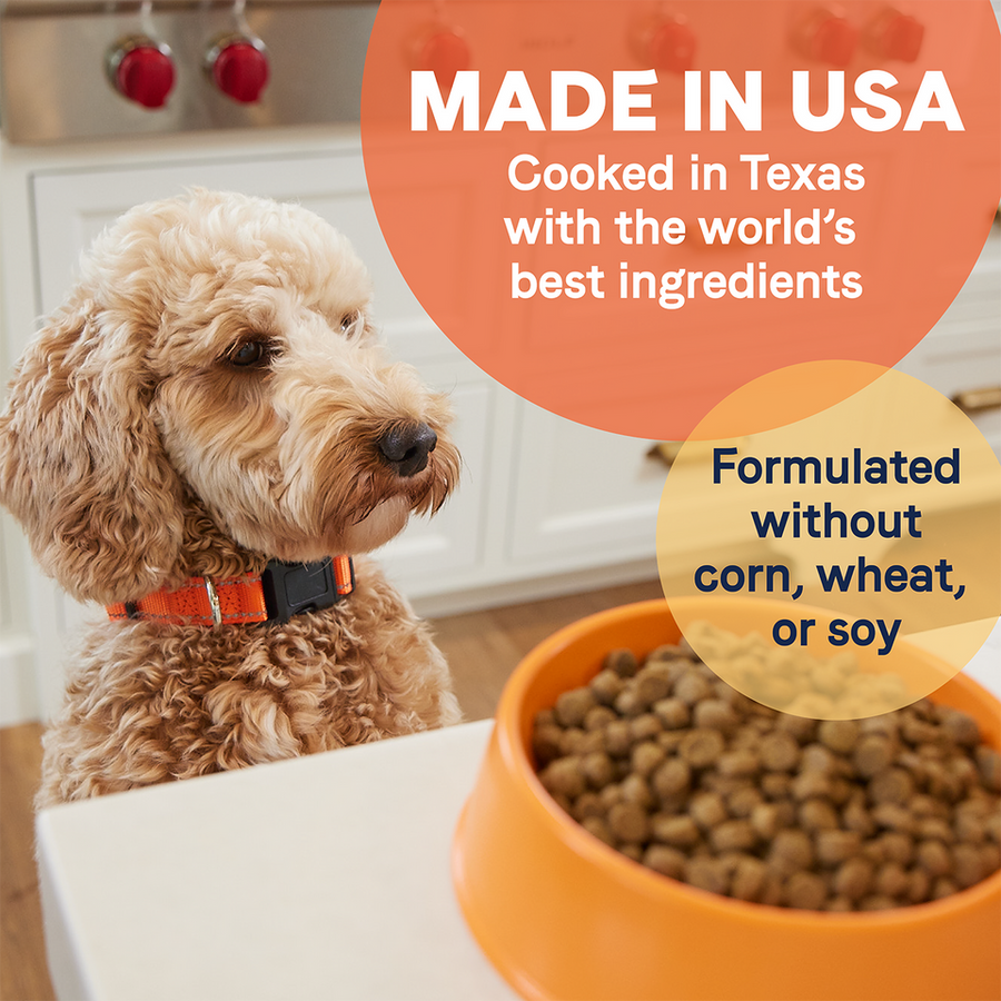 Canidae All Life Stages Lamb Meal and Brown Rice Formula Dry Dog Food