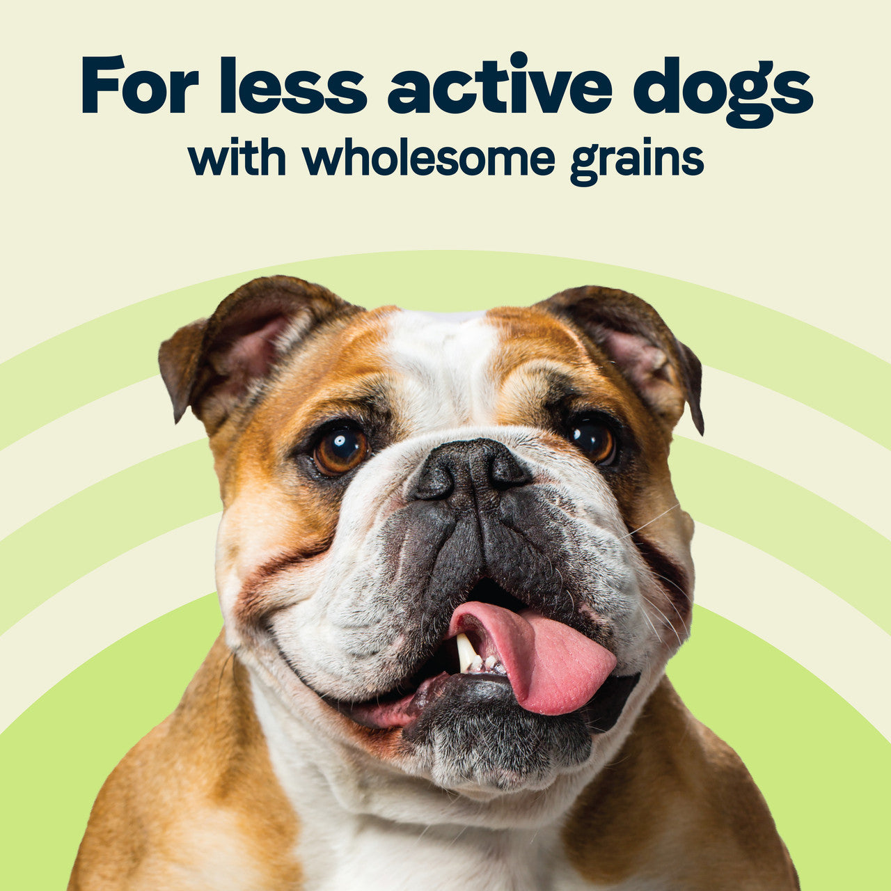 Canidae less active dog hot sale food