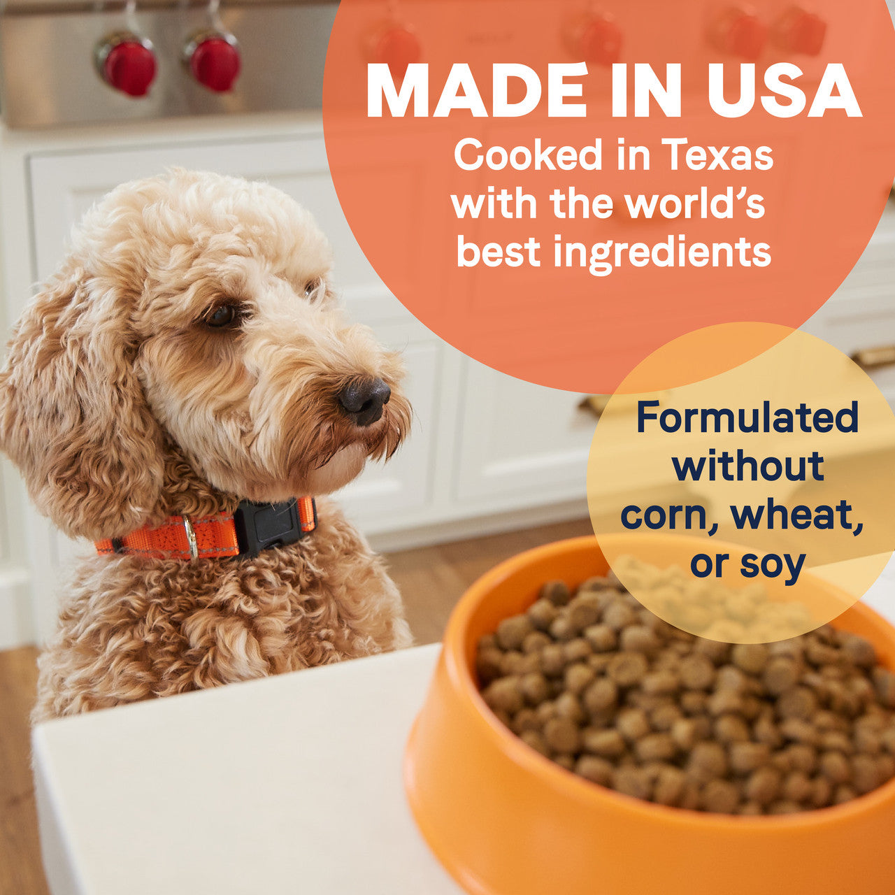 Canidae All Life Stages Multi Protein Chicken Turkey and Lamb Meals
