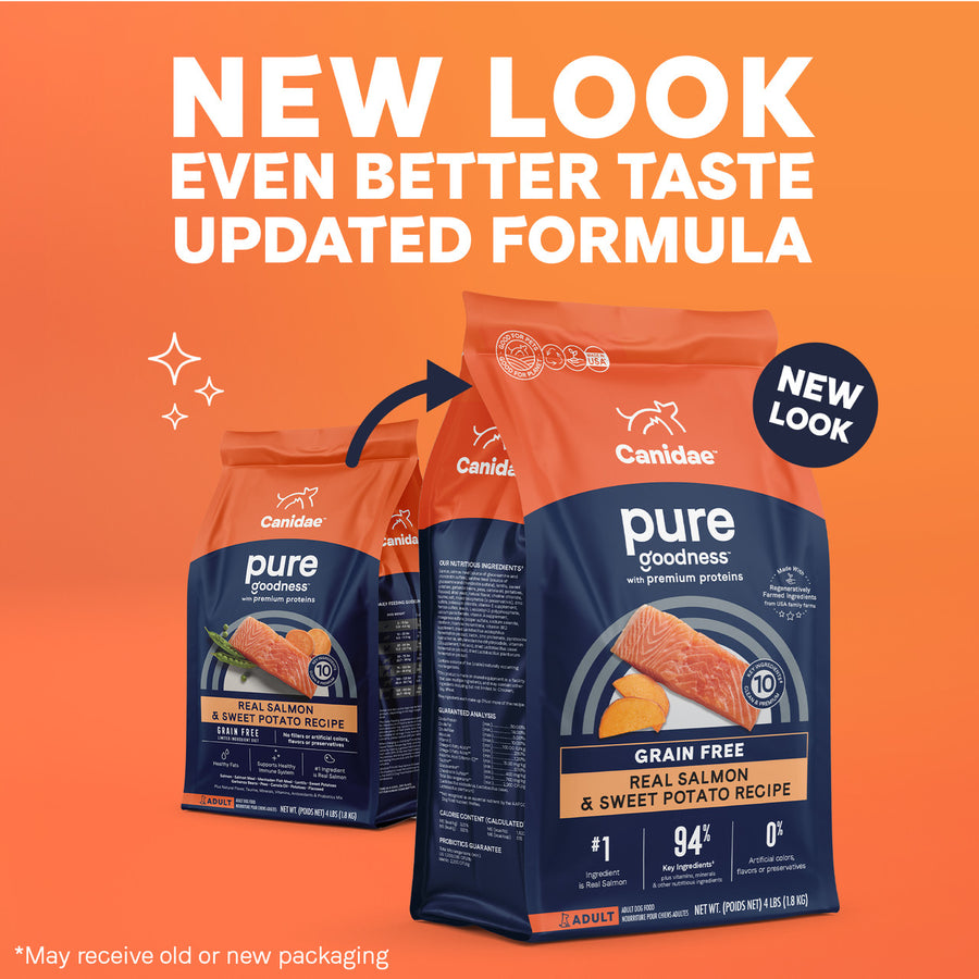 Canidae PURE Grain Free Salmon & Sweet Potato Recipe Dry Dog Food