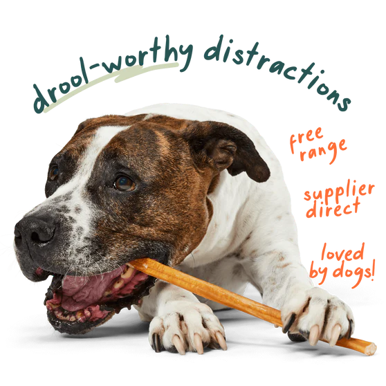 Woof BullySafe Refill Collagen Chew Bully Sticks 12" Dog Treat