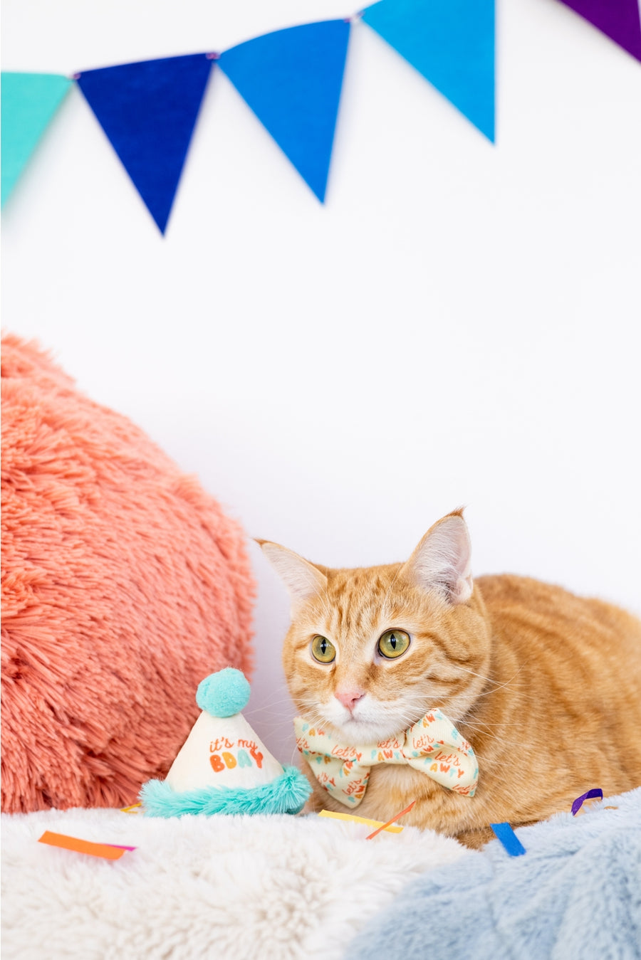 Pearhead Happy Purrday Hat and Bowtie Set for Cats