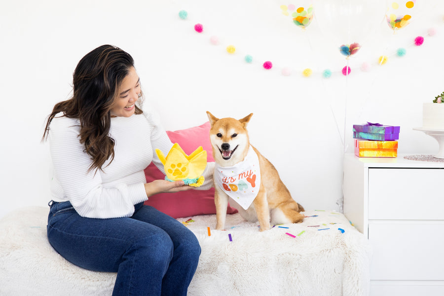 Pearhead Happy Barkday Med/Lrg Bandana Hat Set