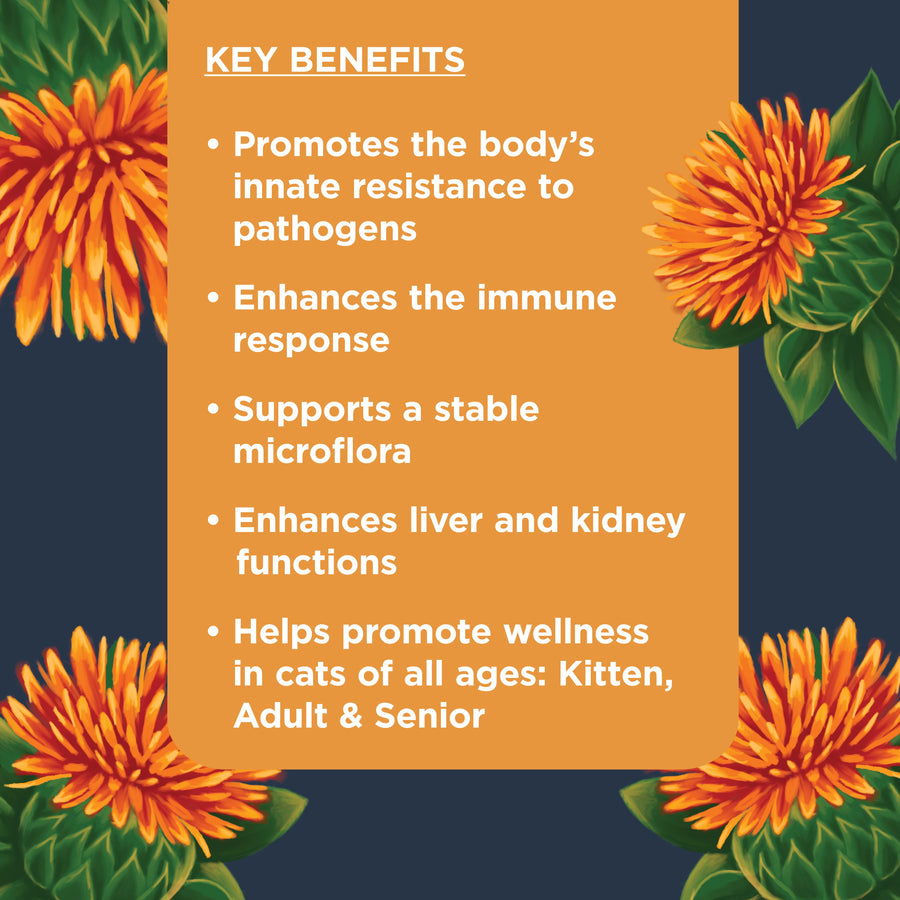 Nulo Superfood Lysine & Immune Soft Chew Supplements For Cats