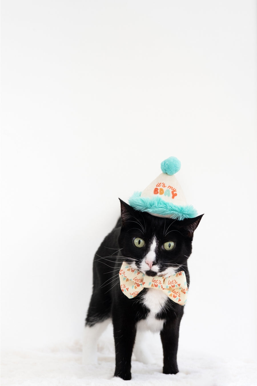 Pearhead Happy Purrday Hat and Bowtie Set for Cats