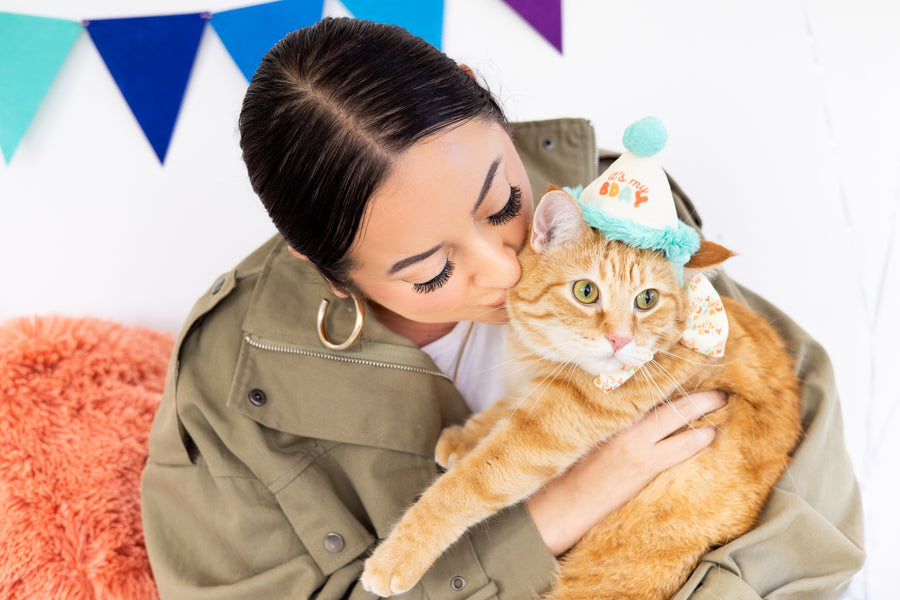 Pearhead Happy Purrday Hat and Bowtie Set for Cats