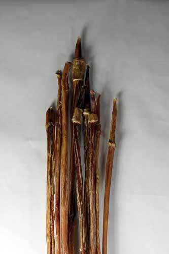Tuesday's Natural Dog Company Odor Free Cane Bully Stick Dog Treat