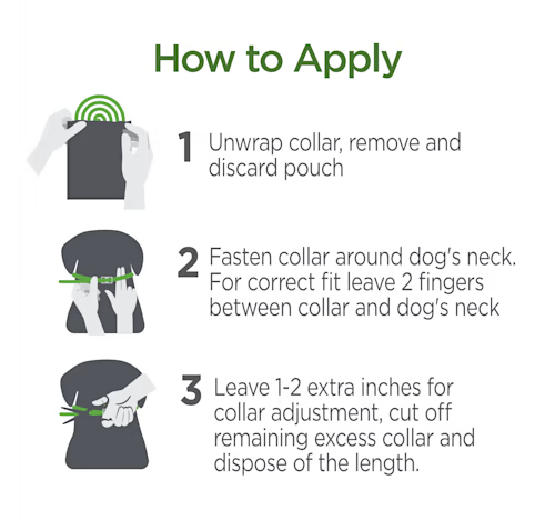 Vetality Avantect II Flea & Tick Collar for Small Dogs