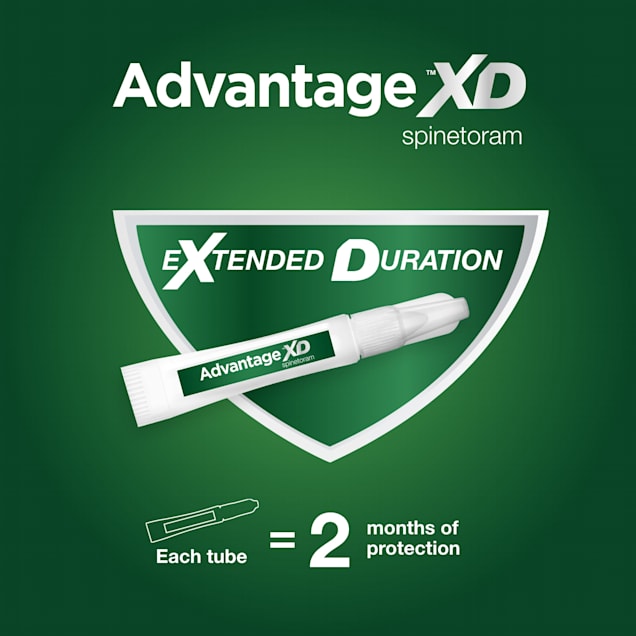 Advantage XD Topical Flea Protection for Small Cats, 1.8lb - 9lbs