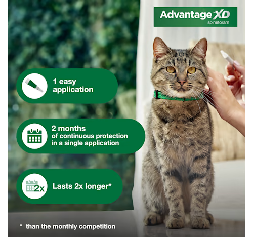 Advantage XD Topical Flea Protection for Small Cats, 1.8lb - 9lbs