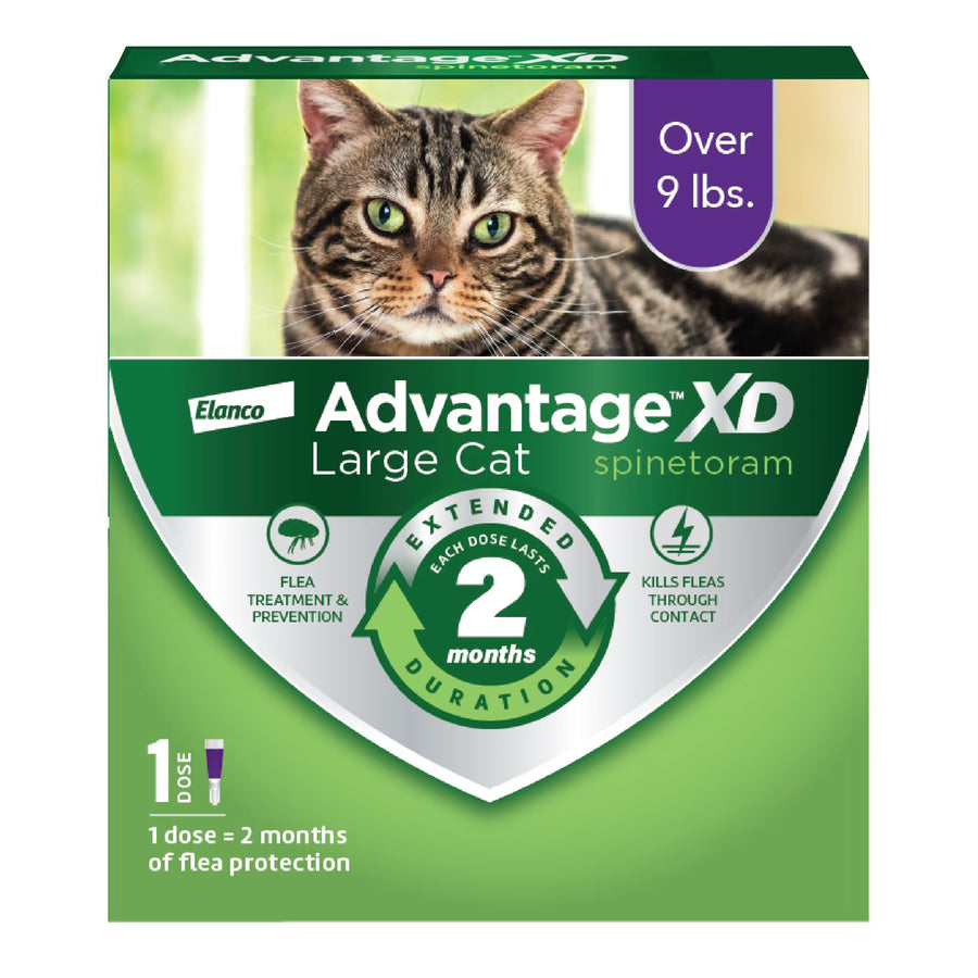 Advantage XD Topical Flea Protection for Large Cats, 9lbs+