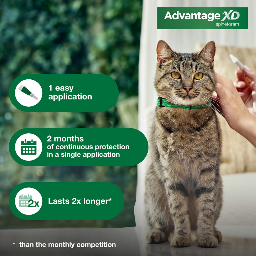 Advantage XD Topical Flea Protection for Large Cats, 9lbs+