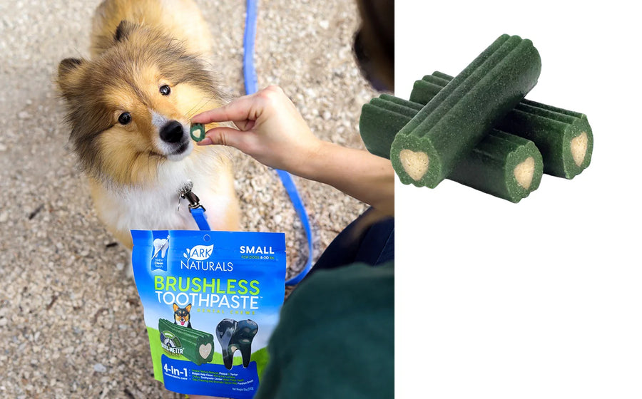 Ark Naturals Brushless Toothpaste Dental Chews for Small Dog